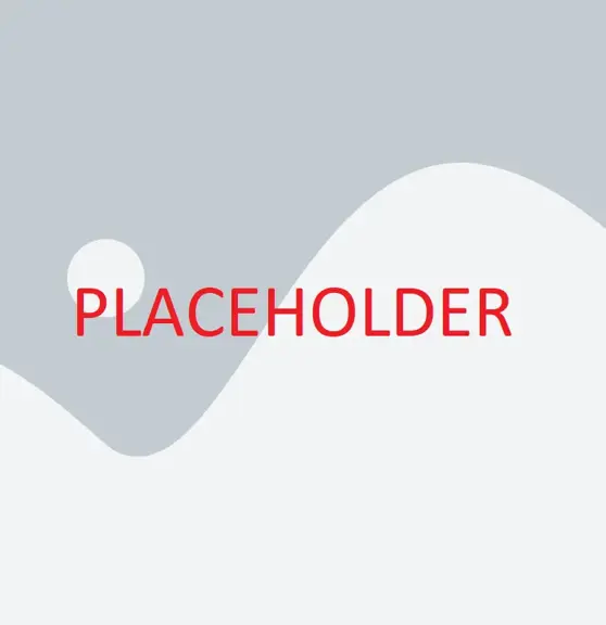 placeholder.webp