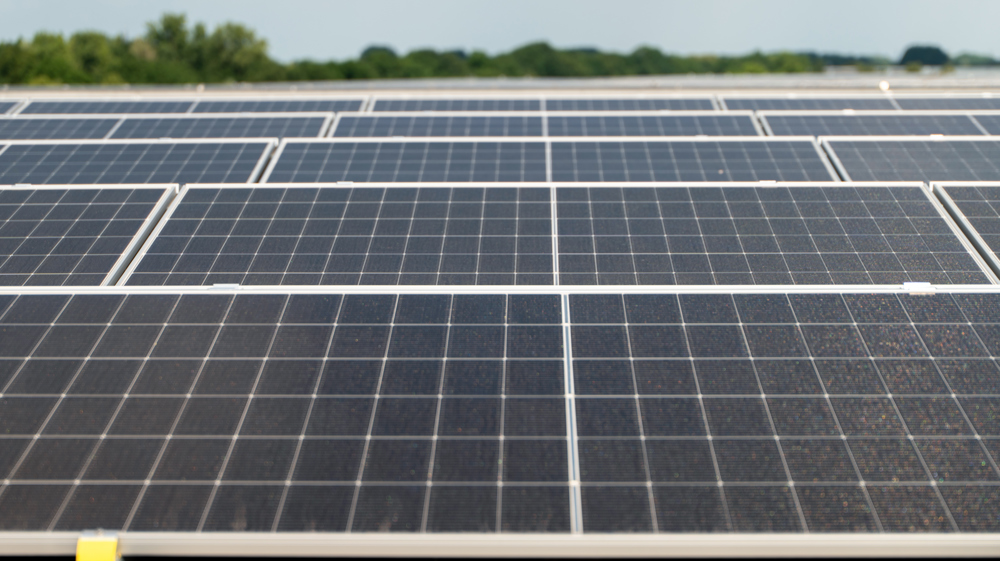 Solar panels.jpg